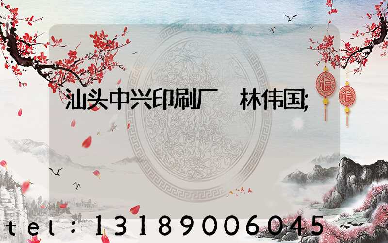 汕头中兴印刷厂 林伟国
